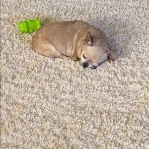 Meet your Posher, Kristi